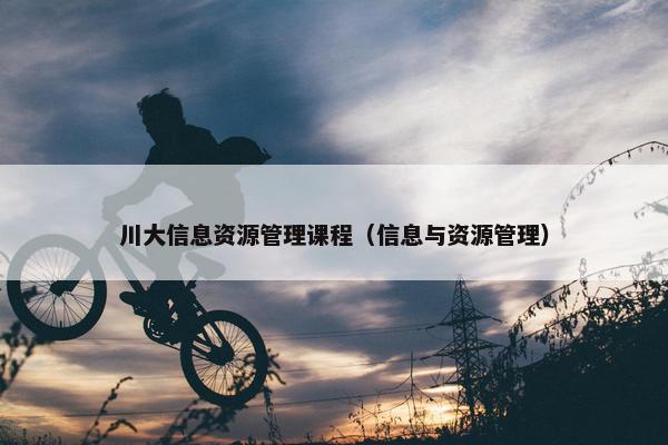川大信息资源管理课程（信息与资源管理）