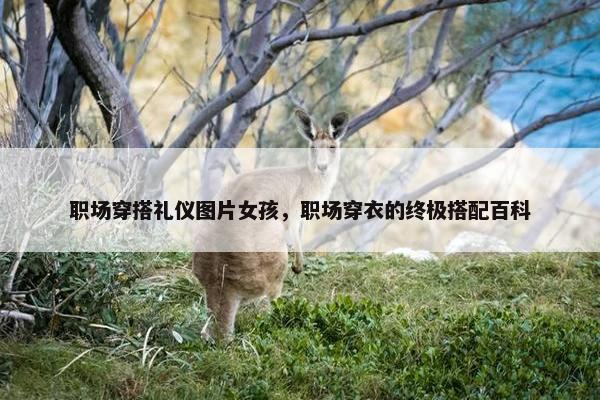 职场穿搭礼仪图片女孩，职场穿衣的终极搭配百科