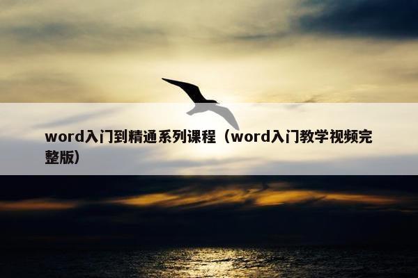 word入门到精通系列课程（word入门教学视频完整版）