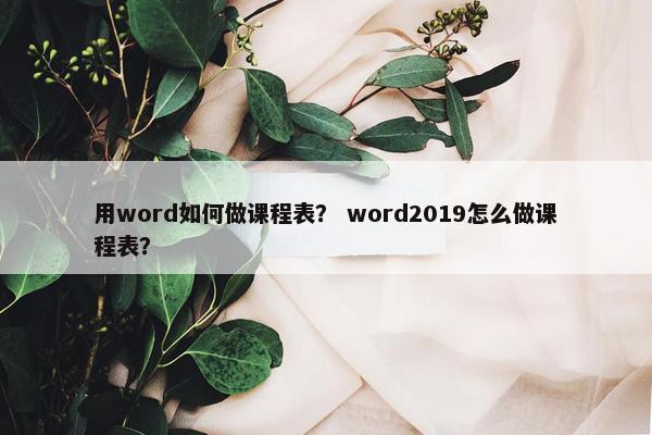 用word如何做课程表？ word2019怎么做课程表？