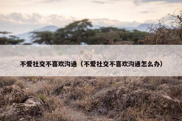 不爱社交不喜欢沟通（不爱社交不喜欢沟通怎么办）