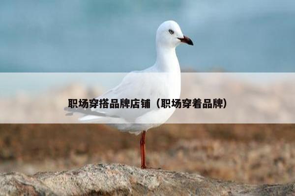 职场穿搭品牌店铺（职场穿着品牌）