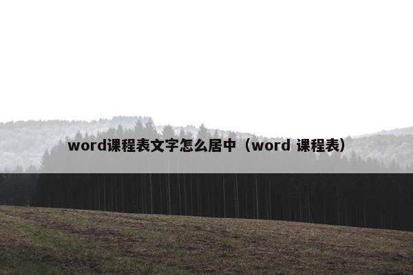 word课程表文字怎么居中（word 课程表）