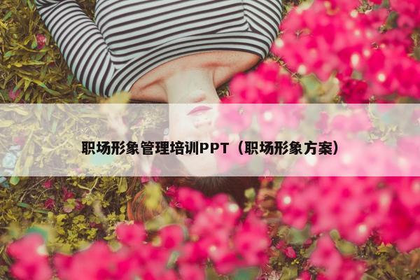 职场形象管理培训PPT（职场形象方案）