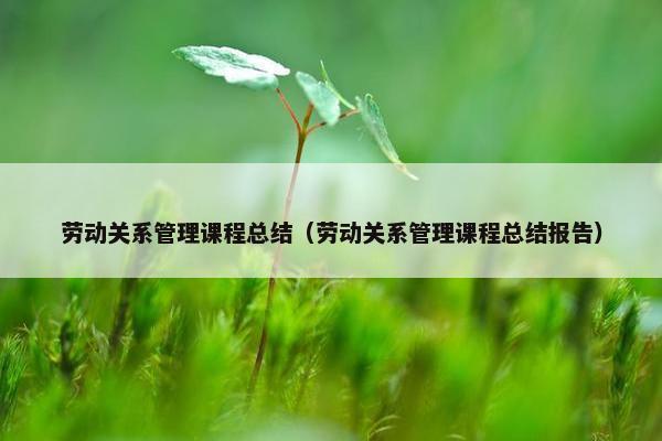 劳动关系管理课程总结（劳动关系管理课程总结报告）
