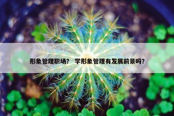 形象管理职场？ 学形象管理有发展前景吗？