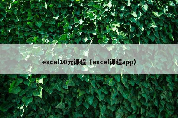 excel10元课程（excel课程app）