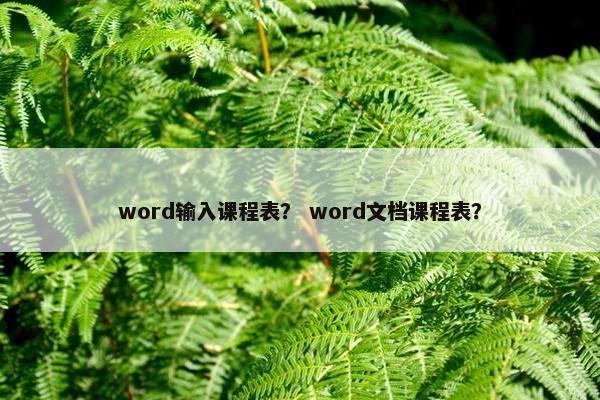 word输入课程表？ word文档课程表？