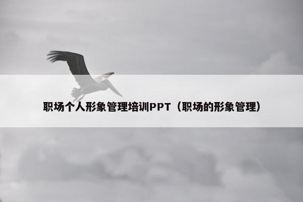 职场个人形象管理培训PPT（职场的形象管理）