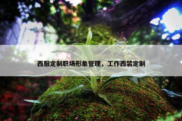 西服定制职场形象管理，工作西装定制