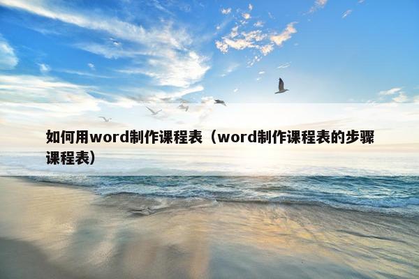 如何用word制作课程表（word制作课程表的步骤课程表）
