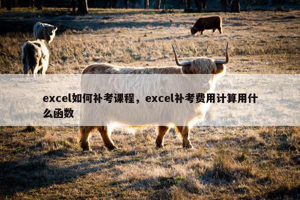 excel如何补考课程，excel补考费用计算用什么函数