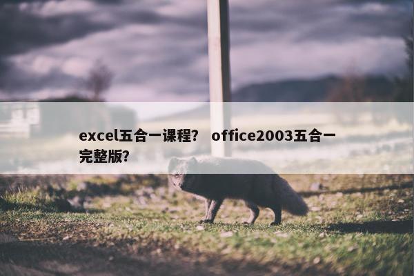 excel五合一课程？ office2003五合一完整版？