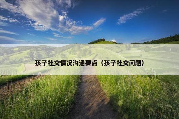 孩子社交情况沟通要点（孩子社交问题）