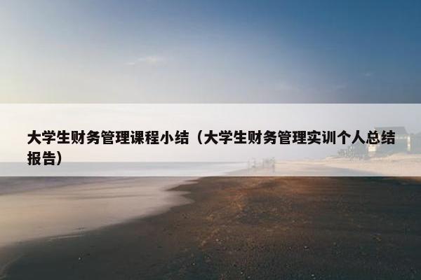 大学生财务管理课程小结（大学生财务管理实训个人总结报告）
