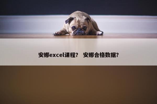 安娜excel课程？ 安娜合格数据？