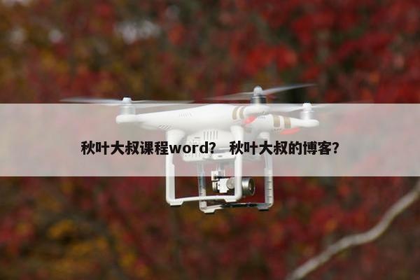 秋叶大叔课程word？ 秋叶大叔的博客？