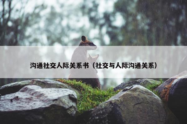 沟通社交人际关系书（社交与人际沟通关系）