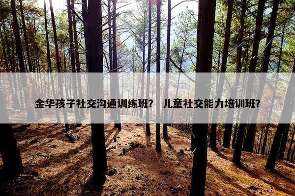 金华孩子社交沟通训练班？ 儿童社交能力培训班？