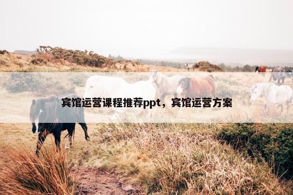 宾馆运营课程推荐ppt，宾馆运营方案