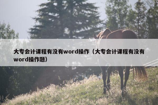 大专会计课程有没有word操作（大专会计课程有没有word操作题）