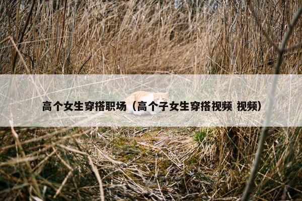 高个女生穿搭职场（高个子女生穿搭视频 视频）