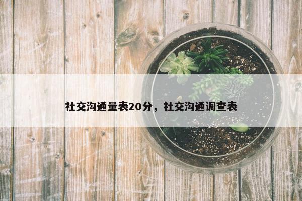 社交沟通量表20分，社交沟通调查表