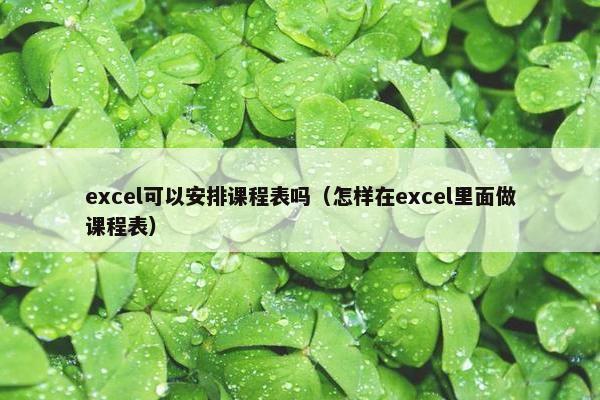 excel可以安排课程表吗（怎样在excel里面做课程表）