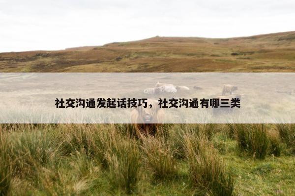 社交沟通发起话技巧，社交沟通有哪三类