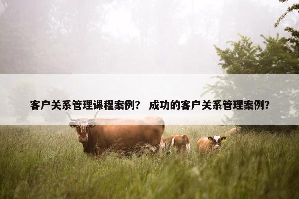 客户关系管理课程案例？ 成功的客户关系管理案例？