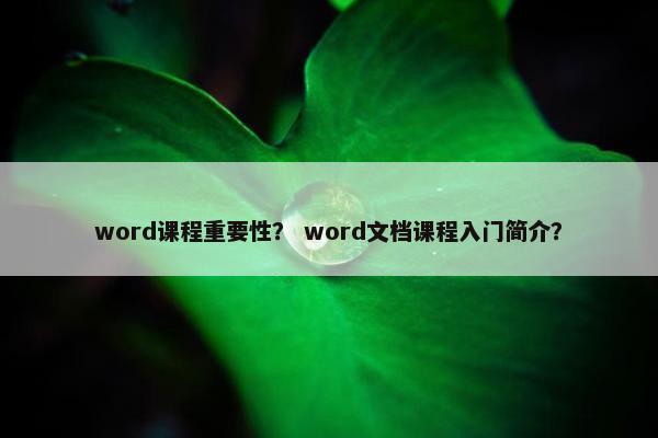 word课程重要性？ word文档课程入门简介？