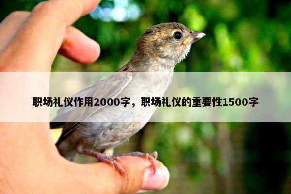 职场礼仪作用2000字，职场礼仪的重要性1500字