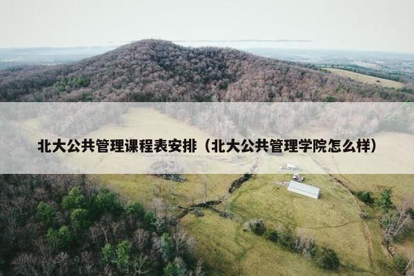北大公共管理课程表安排（北大公共管理学院怎么样）