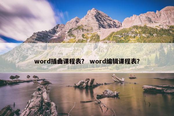 word插曲课程表？ word编辑课程表？