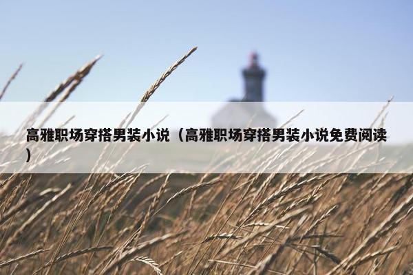 高雅职场穿搭男装小说（高雅职场穿搭男装小说免费阅读）