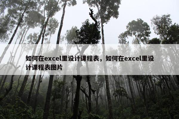如何在excel里设计课程表，如何在excel里设计课程表图片