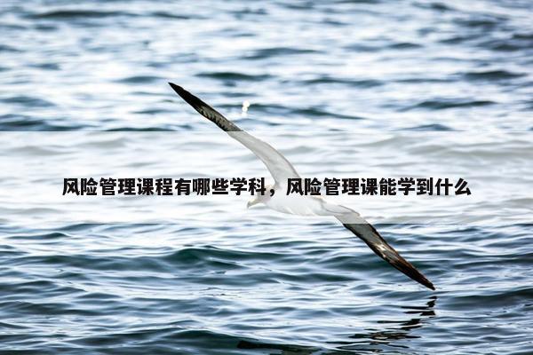 风险管理课程有哪些学科，风险管理课能学到什么