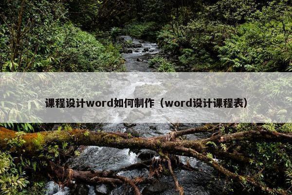 课程设计word如何制作（word设计课程表）