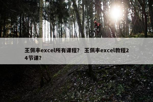 王佩丰excel所有课程？ 王佩丰excel教程24节课？