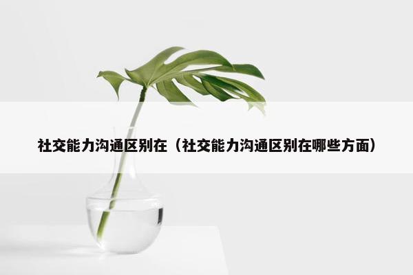 社交能力沟通区别在（社交能力沟通区别在哪些方面）
