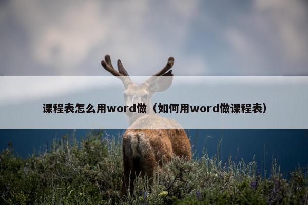 课程表怎么用word做（如何用word做课程表）