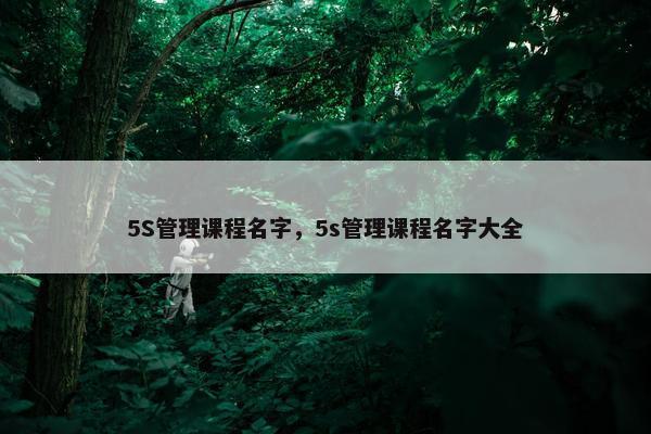 5S管理课程名字，5s管理课程名字大全