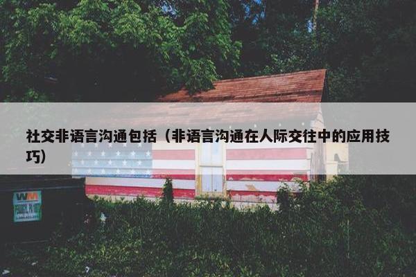 社交非语言沟通包括（非语言沟通在人际交往中的应用技巧）