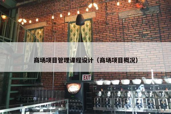 商场项目管理课程设计（商场项目概况）