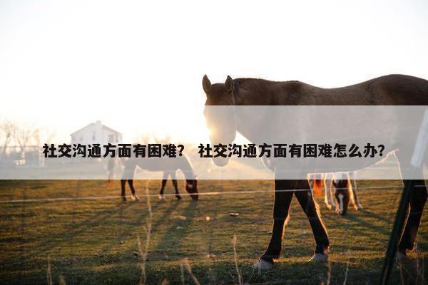 社交沟通方面有困难？ 社交沟通方面有困难怎么办？