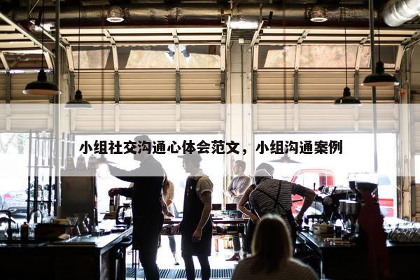 小组社交沟通心体会范文，小组沟通案例