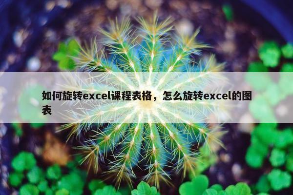 如何旋转excel课程表格，怎么旋转excel的图表
