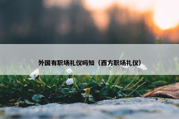 外国有职场礼仪吗知（西方职场礼仪）