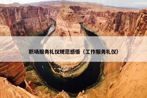 职场服务礼仪规范感悟（工作服务礼仪）