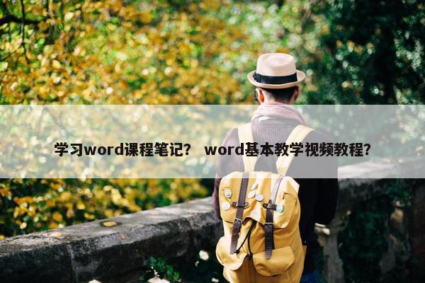 学习word课程笔记？ word基本教学视频教程？